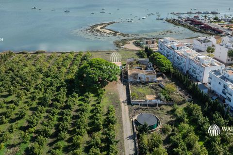 Farm i Tavira, Faro, Tavira - € 2.500.000 | Ref: QuintaRiaFormos - foto 17
